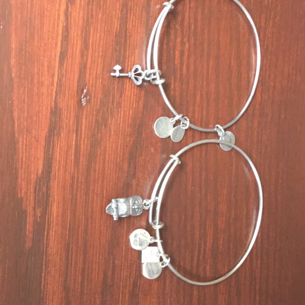 Set of two Alex &Ani bracelets